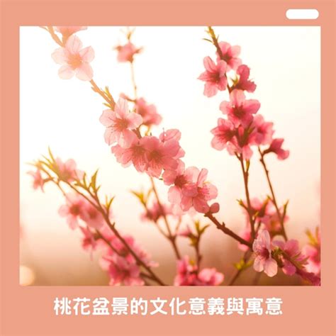 桃花 意思|桃花的文化意義探索